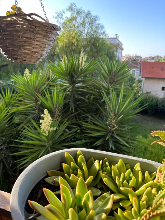 Location De Chambre Privee Dans Residence Prive, Jardins Et Parking Gratuit 1 Min To Tramway Et 9 Min De Centre-Ville, Accessibilite A Plusieurs Transports Nice Eksteriør billede